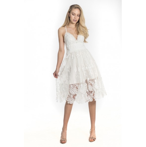 Mini lace embroidered tulle dress