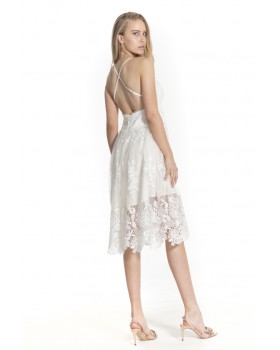Mini lace embroidered tulle dress