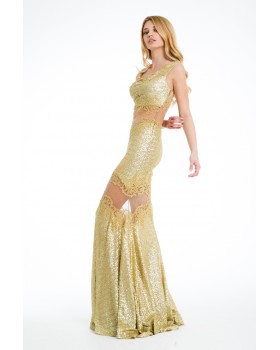 Long spakling transparent dress gold strass and lace