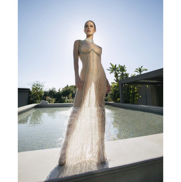 Long spakling transparent dress 