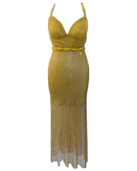 Gold midi dress with rhinestone net.