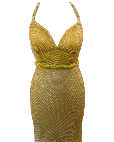 Gold midi dress with rhinestone net.